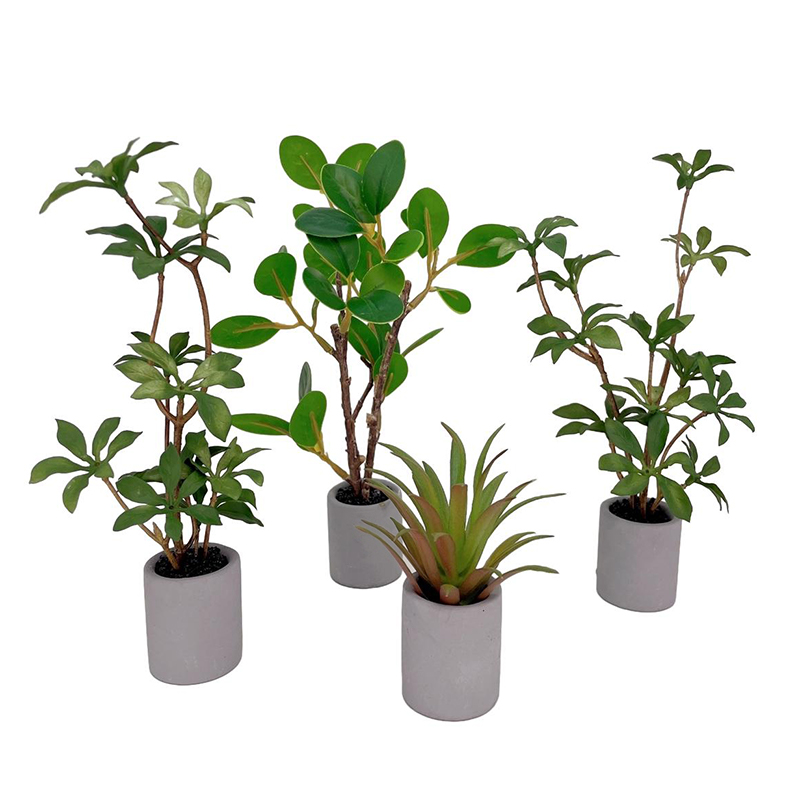 Bonsai Garden Zen - 1:6 Dollhouse Miniature กระถางต้นไม้สีเขียวใบพืชหม้อบอนไซบ้านสวนตกแต่งของเล่นตุ๊กตาอุปกรณ์เสริม House