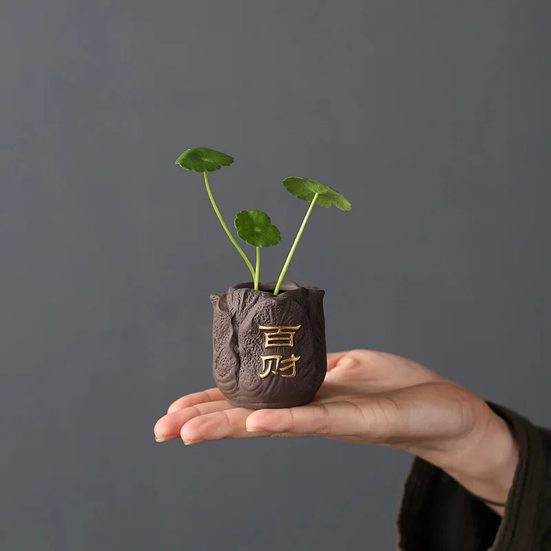 Creative ดินสีม่วงสีม่วงสัตว์เ - Bonsai Garden Mini บทวิจารณ์และราคา