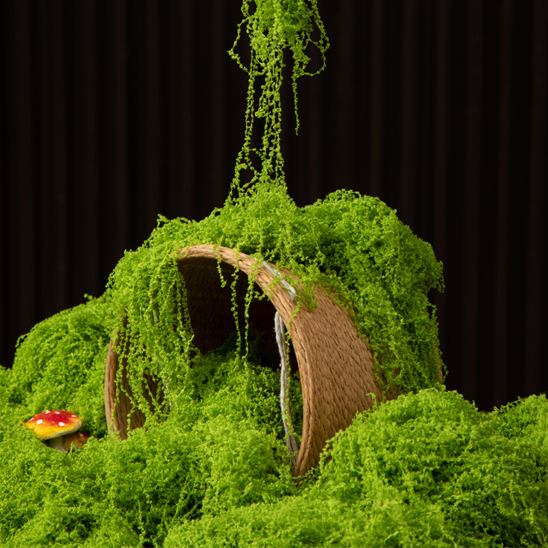 มอสอมตะ 200 กรัม สำหรับงาน DIY - Bonsai Garden Mini บทวิจารณ์และราคา