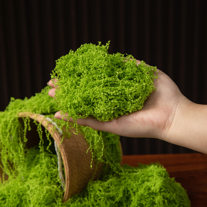 มอสอมตะ 200 กรัม สำหรับงาน DIY - Bonsai Garden Mini บทวิจารณ์และราคา
