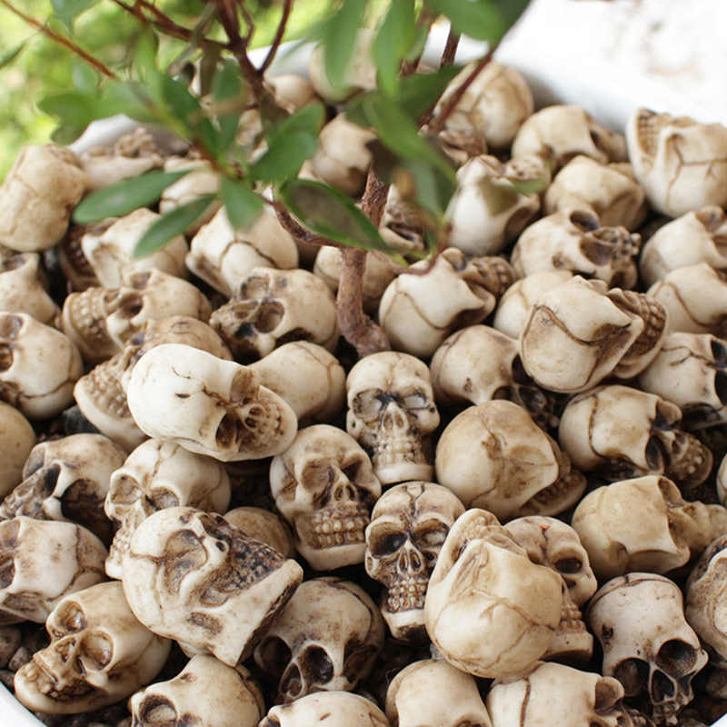 ●   20 ชิ้น หัวกะโหลกจิ๋ว ของต - Bonsai Garden Mini บทวิจารณ์และราคา