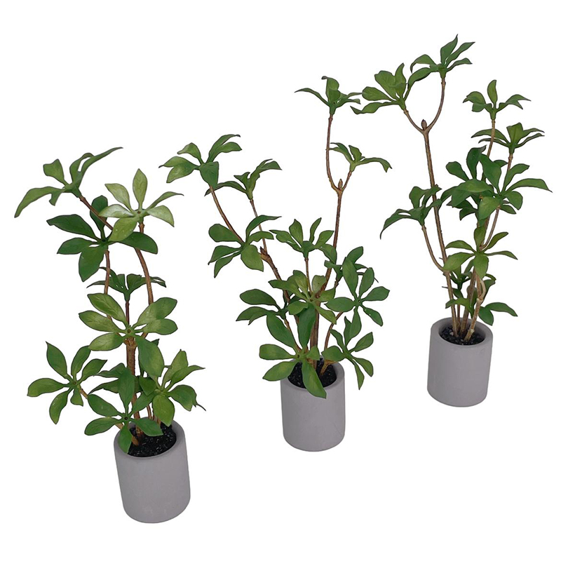 1:6 Dollhouse Miniature กระถาง - Bonsai Garden Zen บทวิจารณ์และราคา