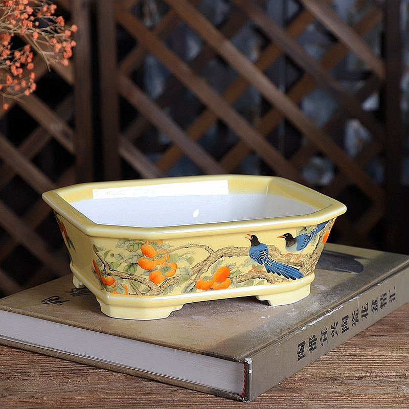 หม้อบอนไซสี่เหลี่ยมผืนผ้าพอร์ซ - Bonsai Garden For Desk บทวิจารณ์และราคา