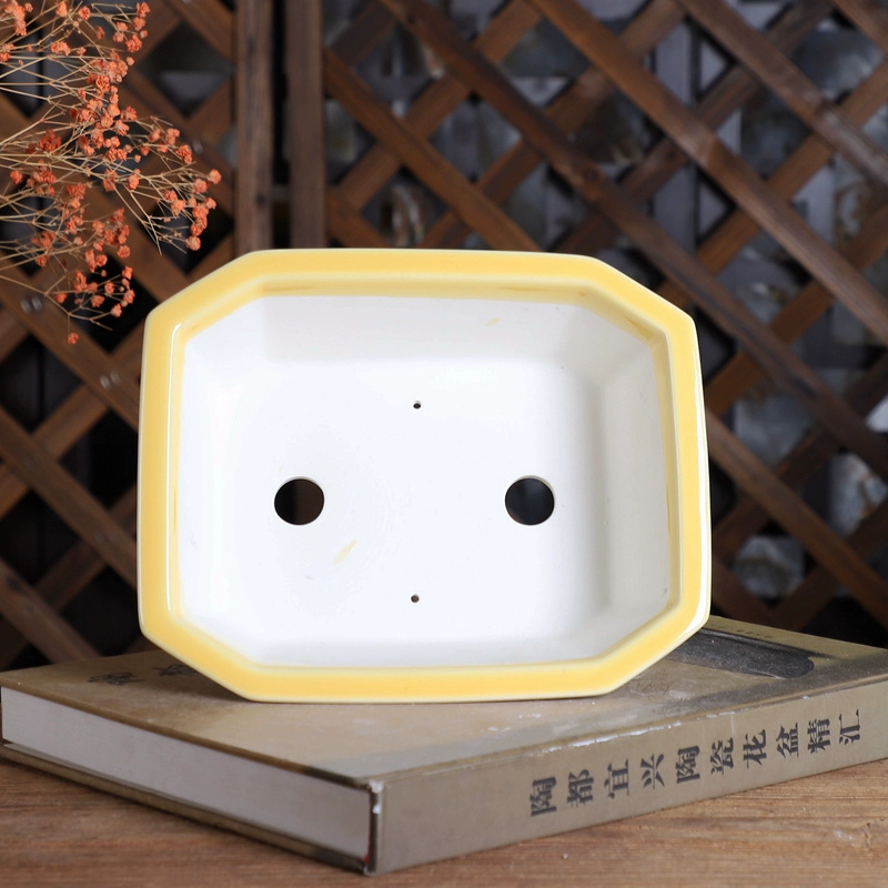 หม้อบอนไซสี่เหลี่ยมผืนผ้าพอร์ซ - Bonsai Garden For Desk บทวิจารณ์และราคา