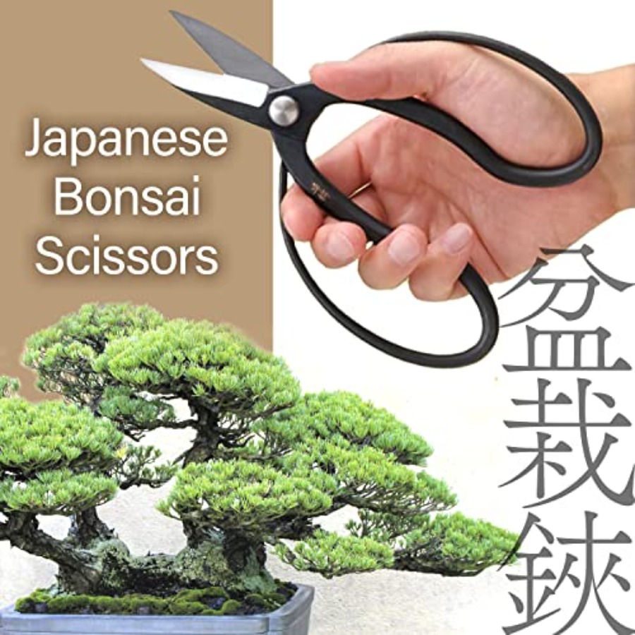 กรรไกรตัดกิ่งบอนไซญี่ปุ่น Suir - Bonsai Garden Japan บทวิจารณ์และราคา
