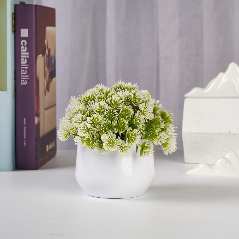 ต้นไม้จำลอง พลาสติก ต้นไม้ประด - Bonsai Garden Zen บทวิจารณ์และราคา