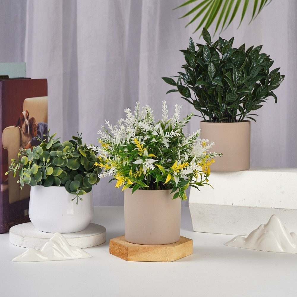 ต้นไม้จำลอง พลาสติก ต้นไม้ประด - Bonsai Garden Zen บทวิจารณ์และราคา