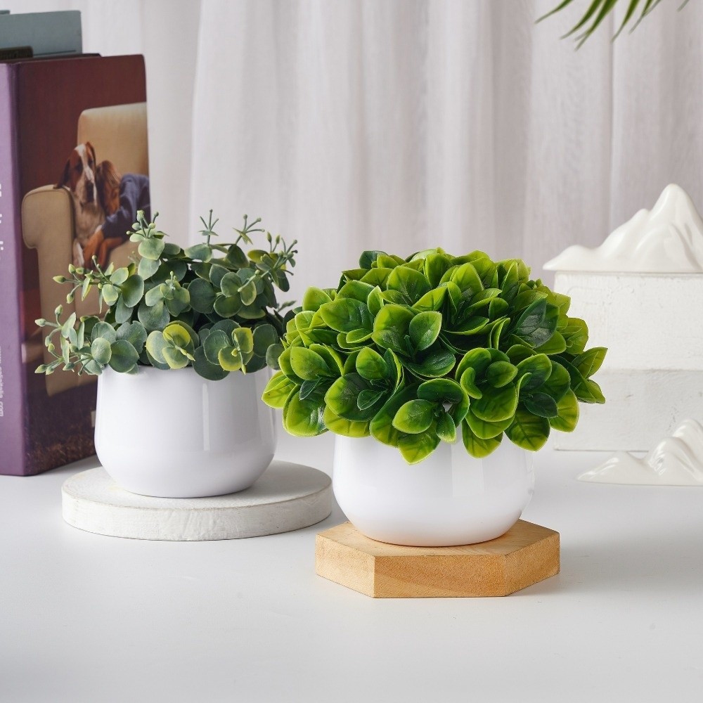 ต้นไม้จำลอง พลาสติก ต้นไม้ประด - Bonsai Garden Zen บทวิจารณ์และราคา