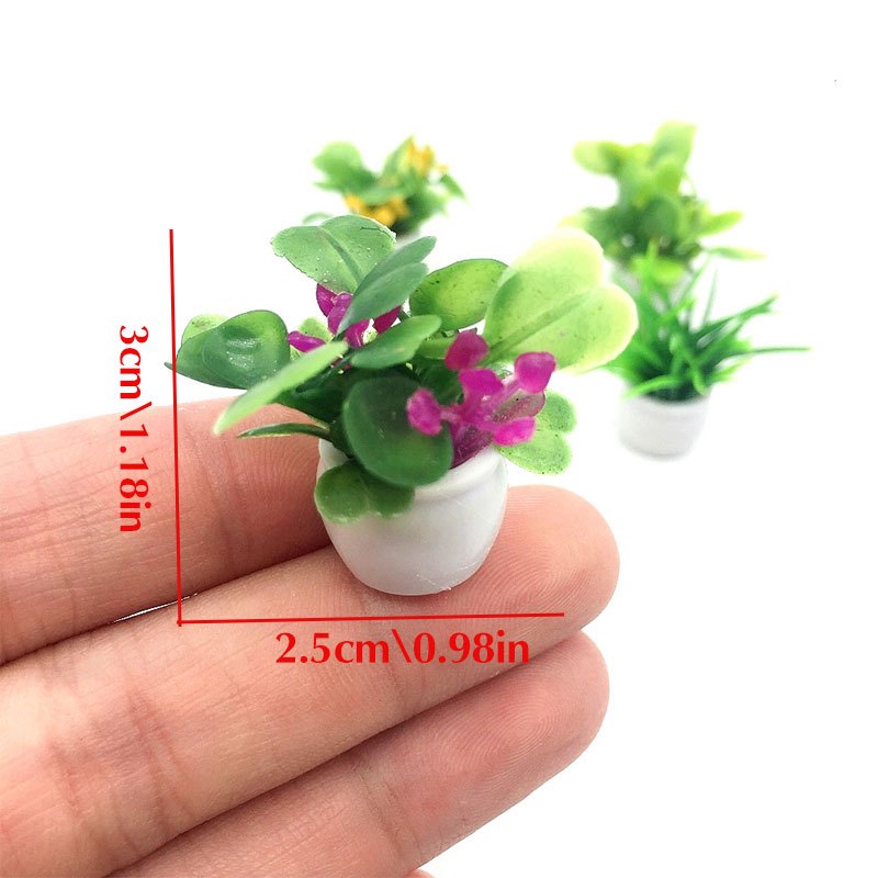 ต้นไม้บ้านตุ๊กตา, ต้นไม้บอนไซจ - Bonsai Garden Mini บทวิจารณ์และราคา