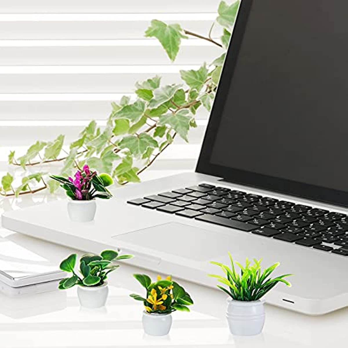 ต้นไม้บ้านตุ๊กตา, ต้นไม้บอนไซจ - Bonsai Garden Mini บทวิจารณ์และราคา