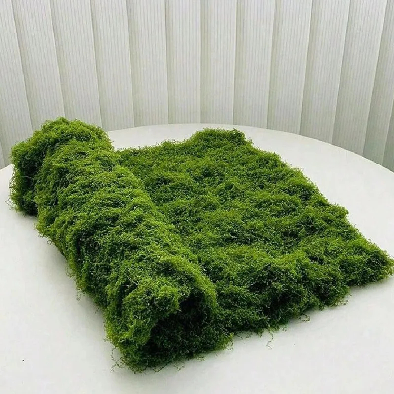 มอสเทียมสำหรับตกแต่งไมโครแลนด์ - Bonsai Garden Mini บทวิจารณ์และราคา