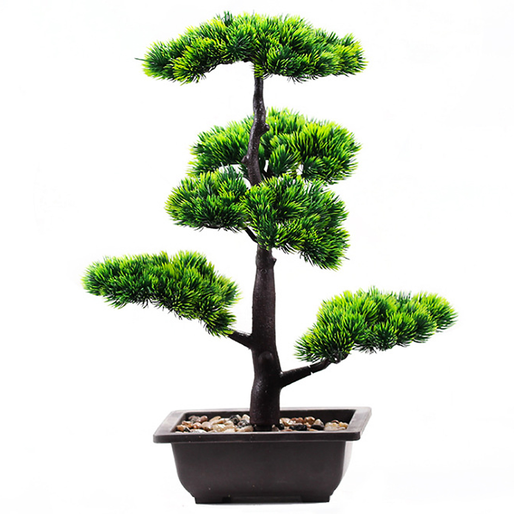 พืชประดิษฐ์ความงาม Pine Faux P - Bonsai Garden Zen บทวิจารณ์และราคา