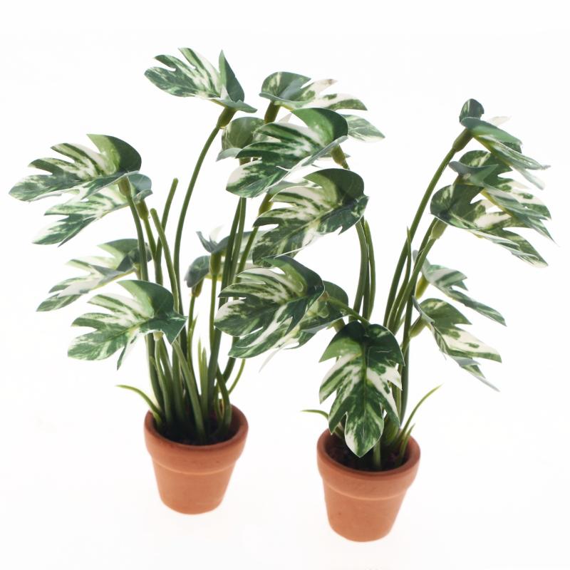 ใหม่! ต้นมอนสเตอร่าจำลอง 1 ชิ้ - Bonsai Garden Decor บทวิจารณ์และราคา
