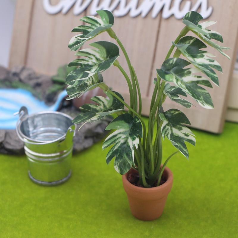 ใหม่! ต้นมอนสเตอร่าจำลอง 1 ชิ้ - Bonsai Garden Decor บทวิจารณ์และราคา