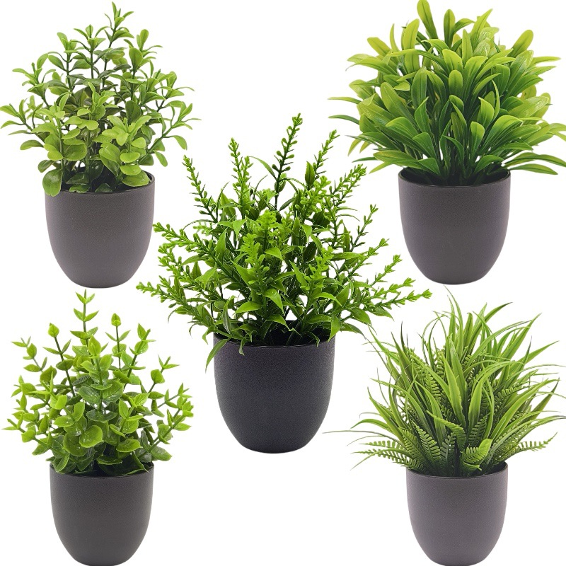 ต้นไม้จำลองสีเขียว บอนไซ ของตก - Bonsai Garden Mini บทวิจารณ์และราคา