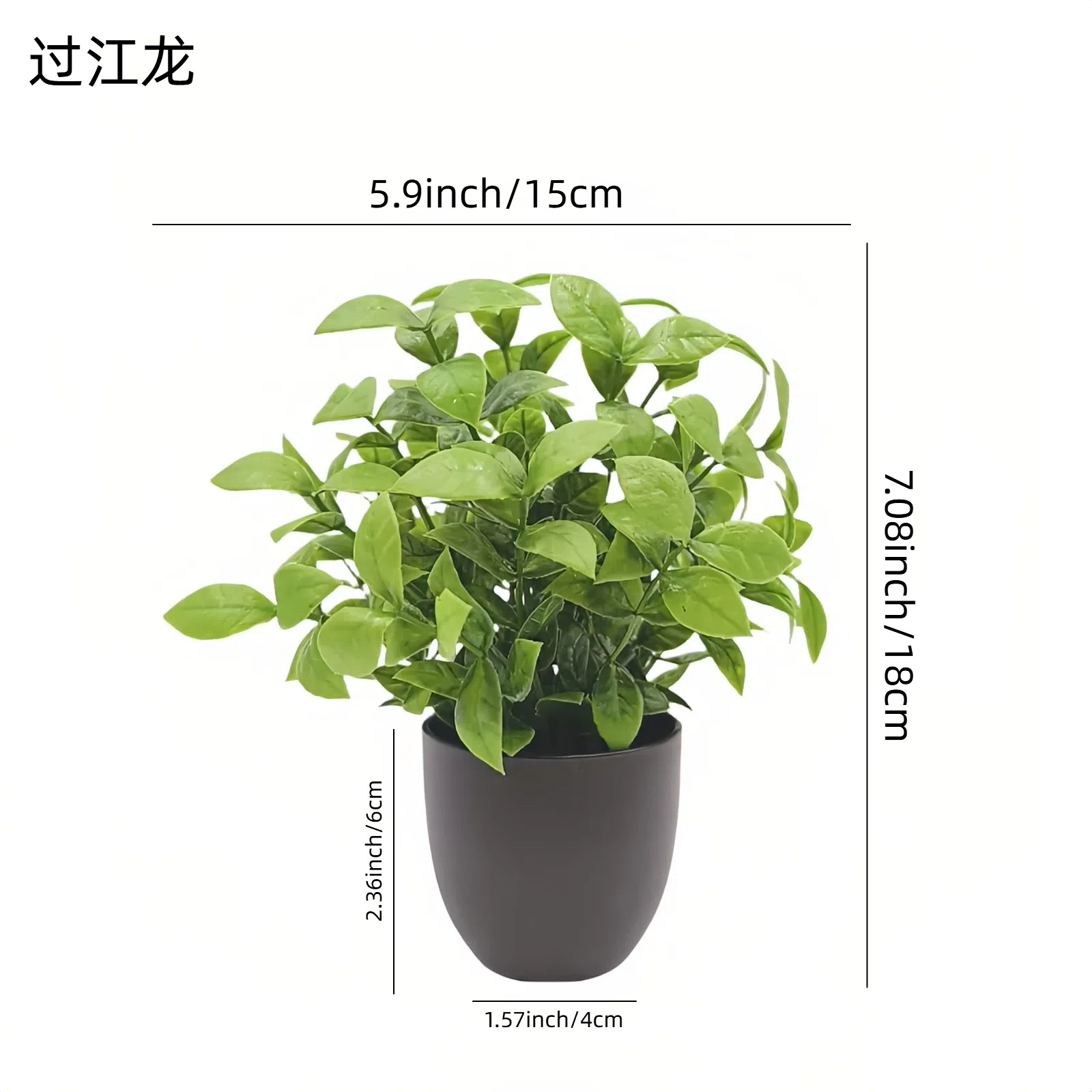 ต้นไม้จำลองสีเขียว บอนไซ ของตก - Bonsai Garden Mini บทวิจารณ์และราคา