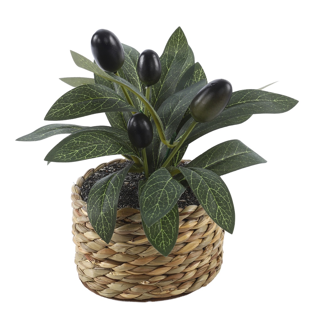 ต้นมะกอกพลาสติก ต้นไม้ปลอม ต้น - Bonsai Garden Zen บทวิจารณ์และราคา